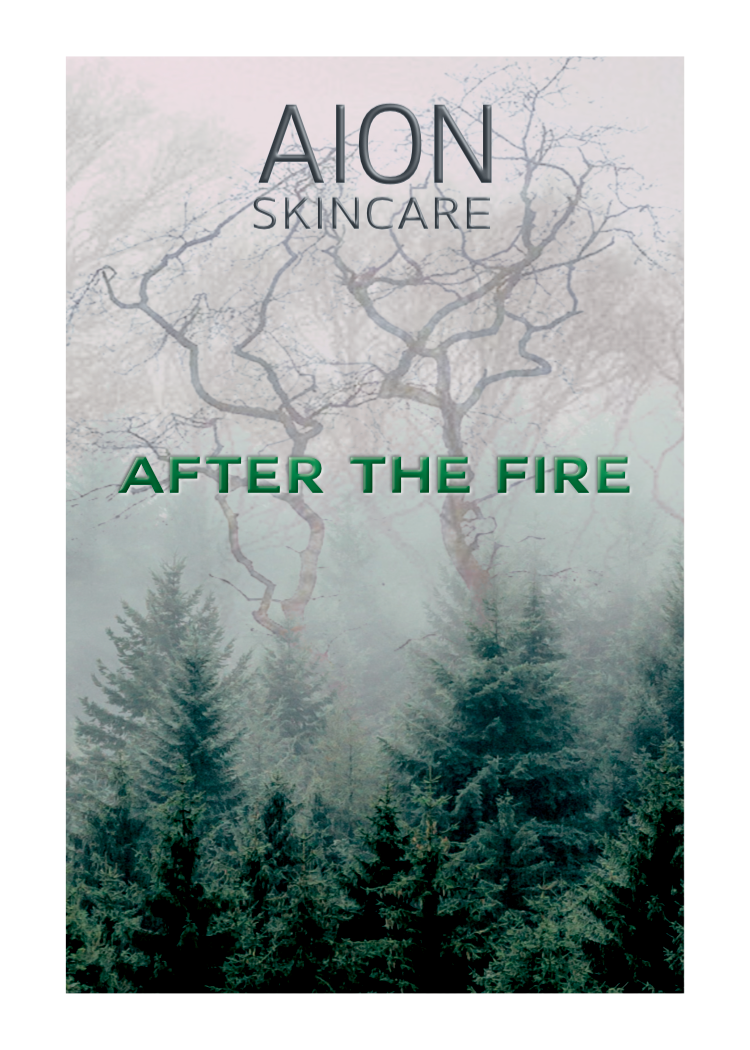 Aion Skincare Alcohol Free Aftershave Splash - After The Fire